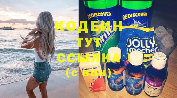 индика Медногорск