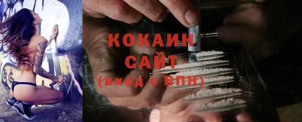 индика Медногорск