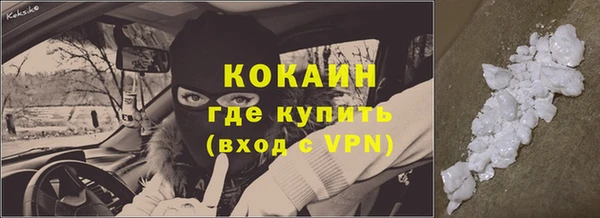 индика Медногорск