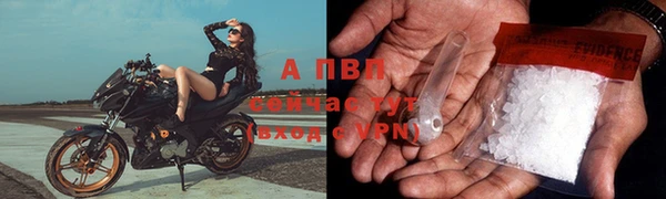 гашик Медвежьегорск