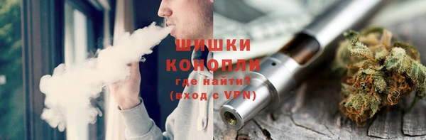 индика Медногорск