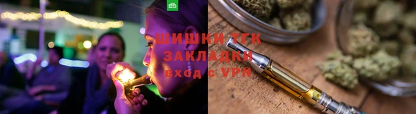 индика Медногорск