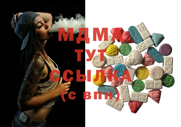индика Медногорск