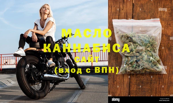 индика Медногорск