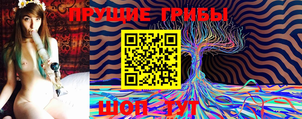 Галлюциногенные грибы Psilocybe  сколько стоит  Кандалакша 