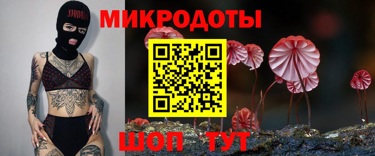 Галлюциногенные грибы Cubensis Кандалакша