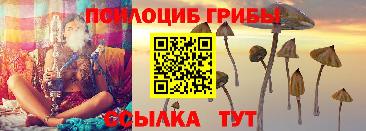 Галлюциногенные грибы Magic Shrooms  Псилоцибиновые грибы Psilocybe  Кандалакша  как найти закладки  Вход с VPN 