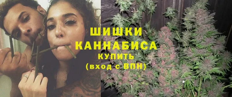 как найти наркотики  Кандалакша  МАРИХУАНА план 